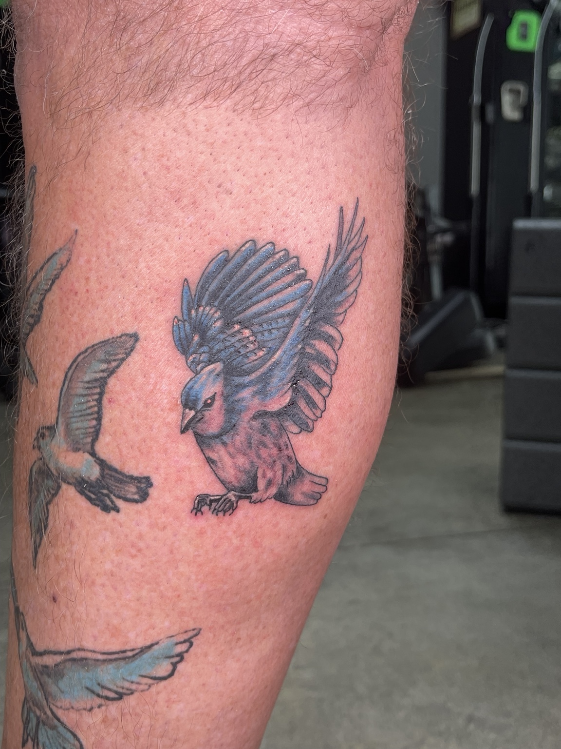 Black and grey eagle tattoo