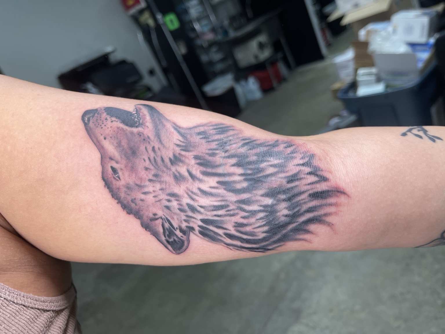 Completed wolf forearm tattoo