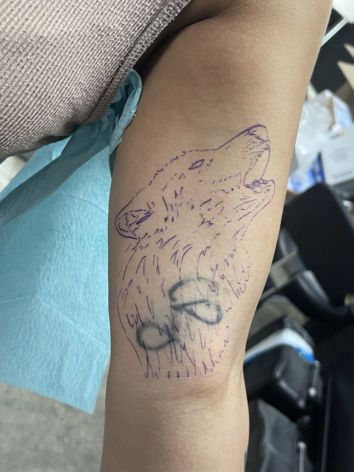 Wolf tattoo stencil and process stage on forearm