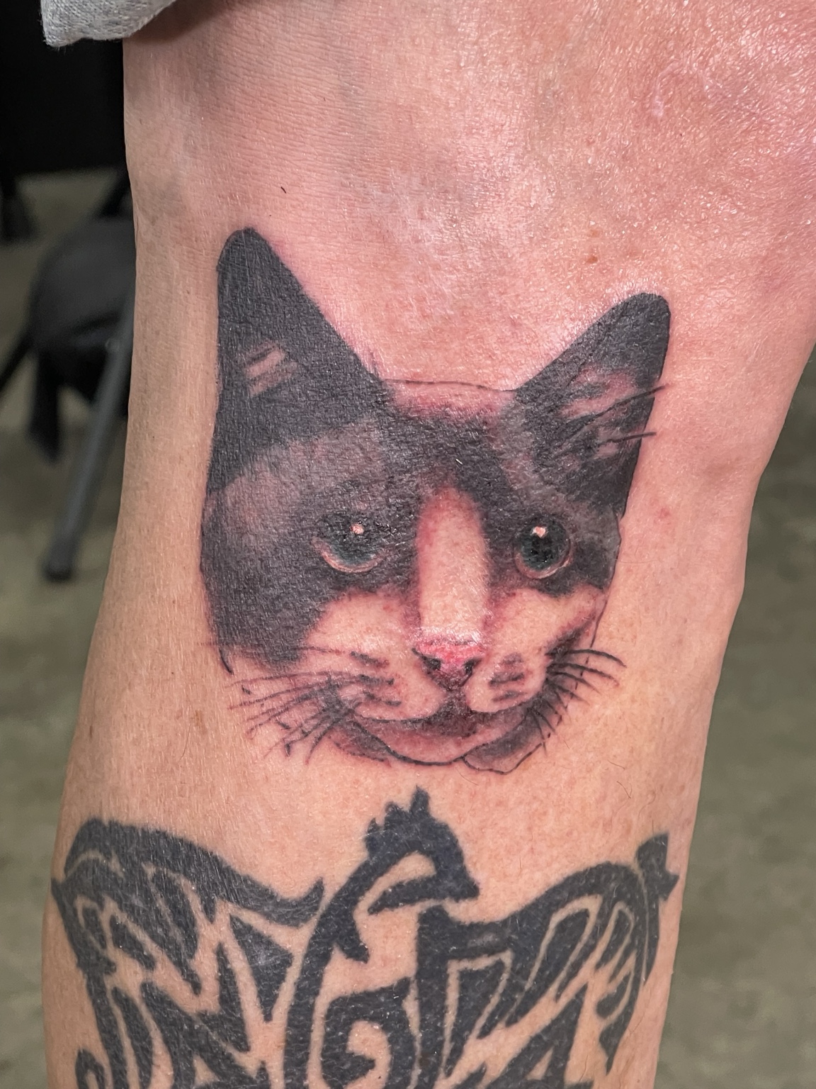 Small black and grey cat portrait tattoo