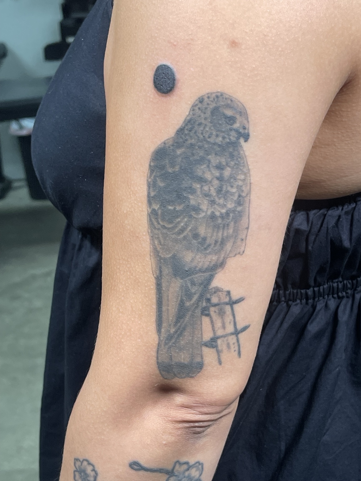 Bird tattoo