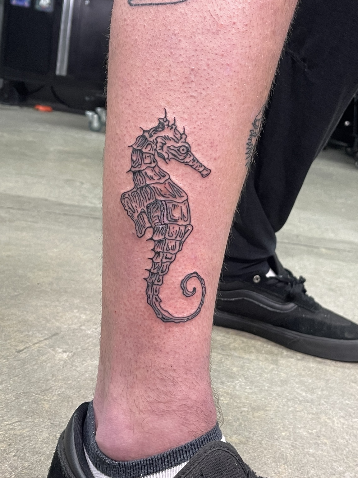 Recovered tattoo view