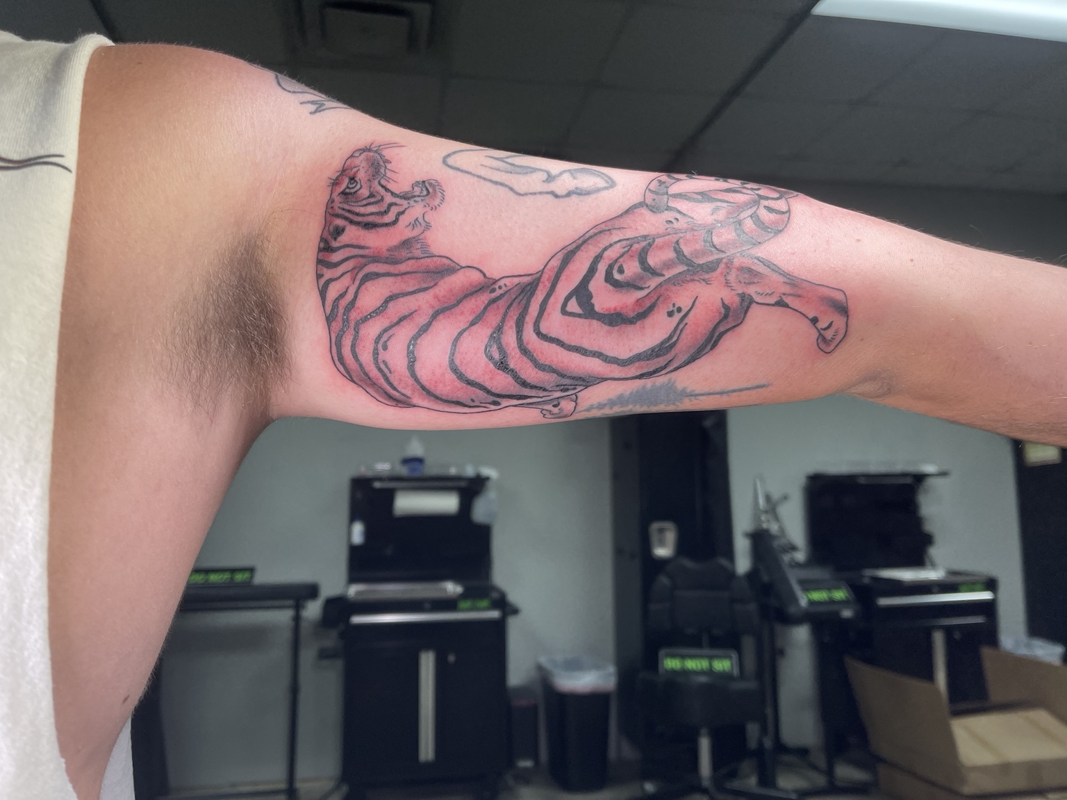 Recovered tattoo view