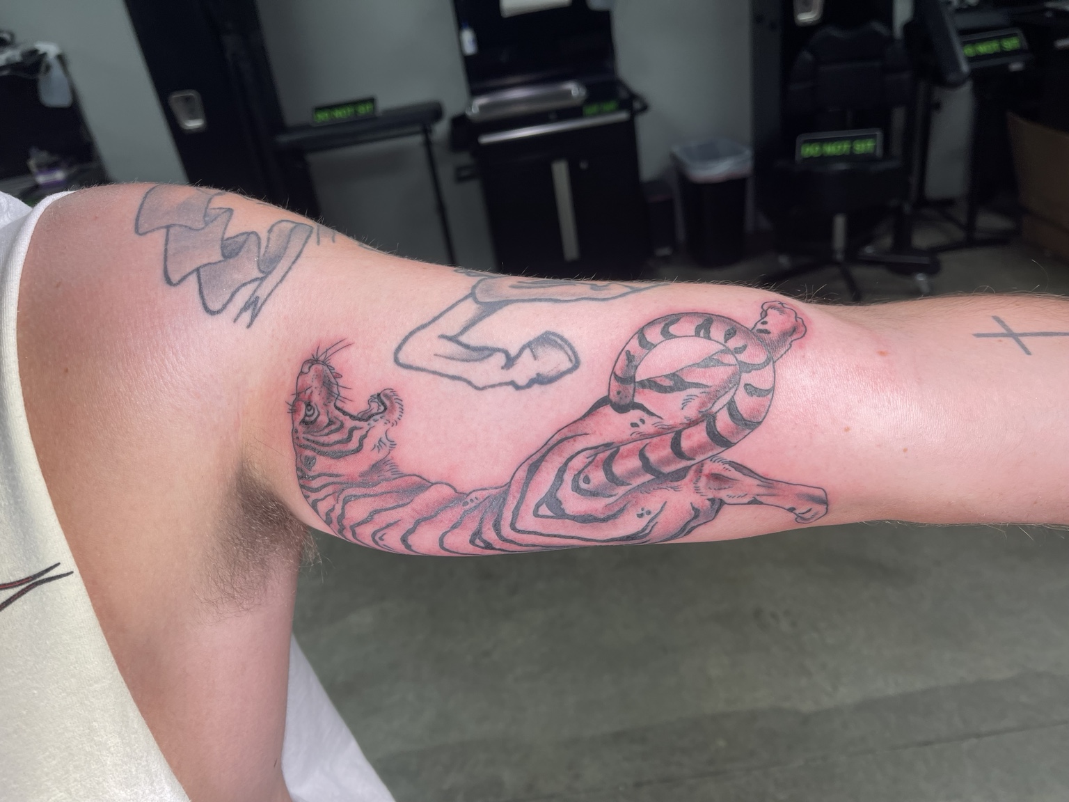 Recovered tattoo view