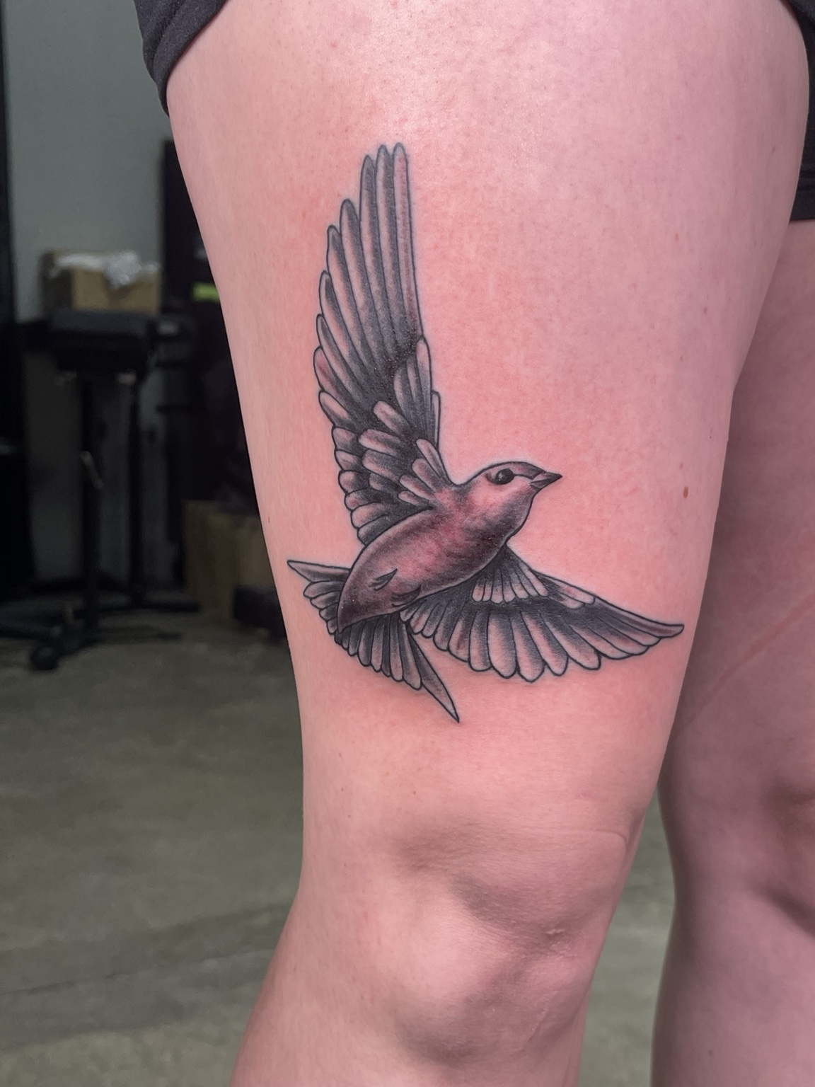 Bird tattoo
