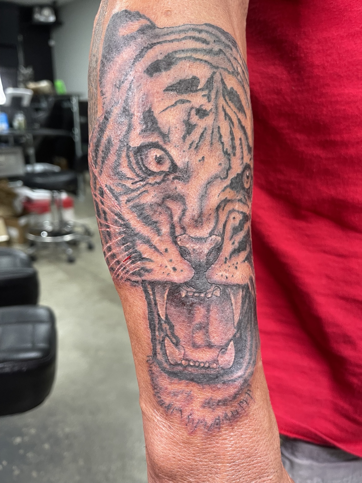 Tiger forearm tattoo alternate view