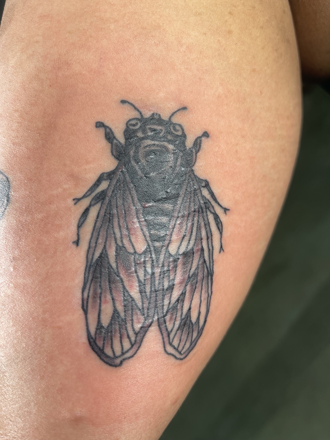 Recovered tattoo still